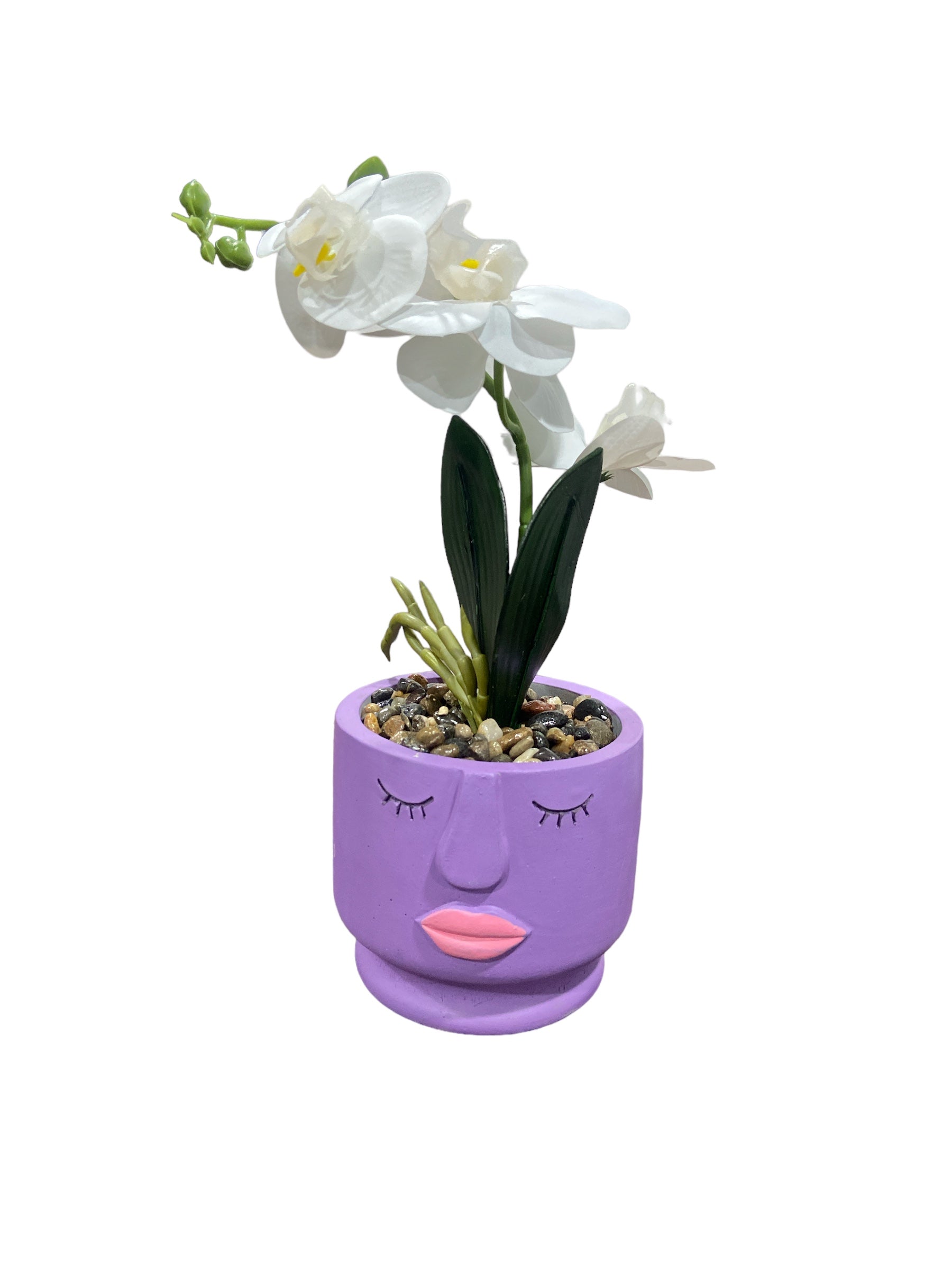 Colored Ceramic Face-Flower Pot With Plant - Home Hatch