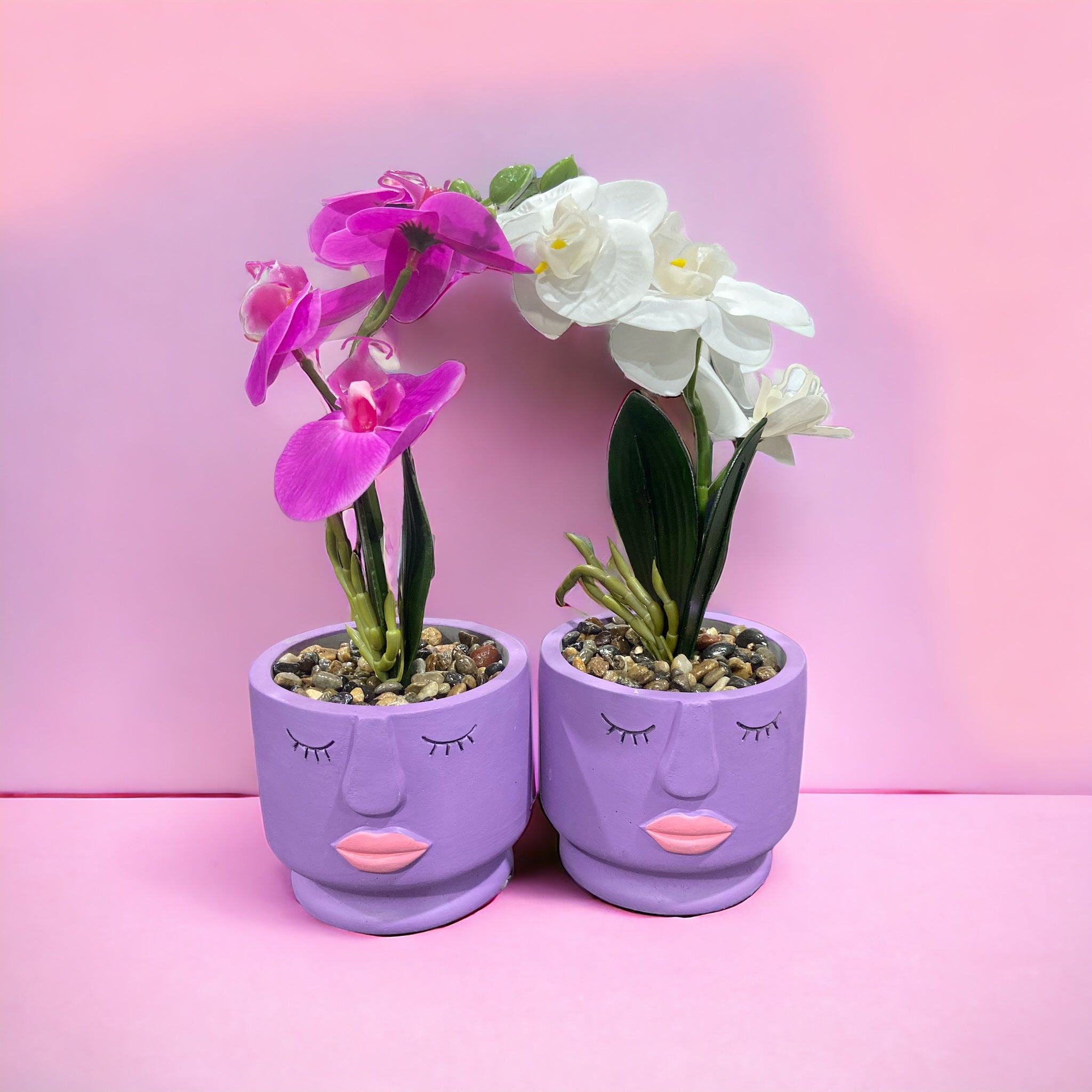 Colored Ceramic Face-Flower Pot With Plant - Home Hatch