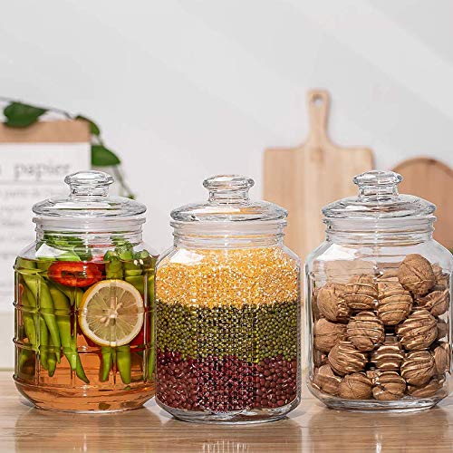 Delisoga Airtight Storage Jar | Glass Food Containers - Home Story