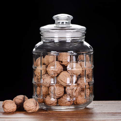 Delisoga Airtight Storage Jar | Glass Food Containers - Home Story