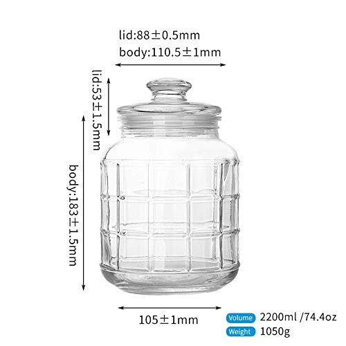 Delisoga Airtight Storage Jar | Glass Food Containers - Home Story